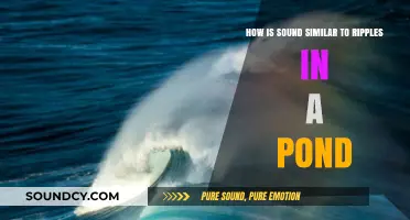 Sound Waves: Ripples in the Air Mirroring Pond Disturbances