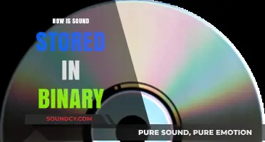 Decoding Digital Audio: How Sound Transforms into Binary Storage