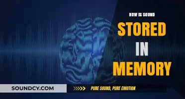 How Sound is Stored in Memory: Unraveling the Brain's Auditory Archive
