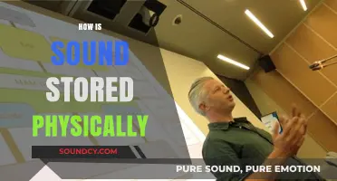 Exploring Physical Sound Storage: From Grooves to Digital Bits
