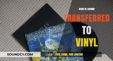 From Groove to Needle: The Journey of Sound on Vinyl