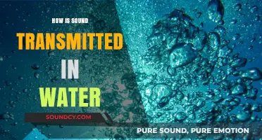 How Sound Waves Travel and Propagate Underwater: A Comprehensive Guide