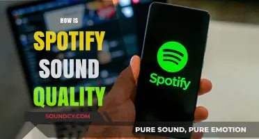 Exploring Spotify's Sound Quality: Streaming Audio Performance and Listening Experience
