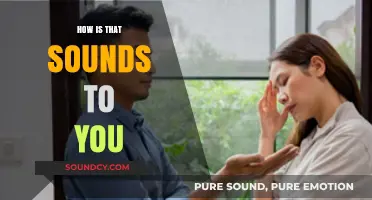 How Does That Sound to You? Exploring the Impact of Tone and Delivery