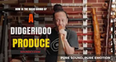 Mastering the Didgeridoo: Unveiling the Art of Its Signature Sound