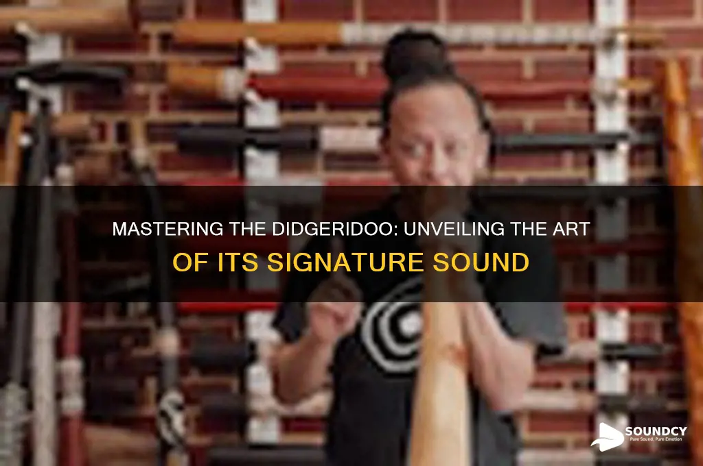 how is the basic sound of a didgeridoo produce