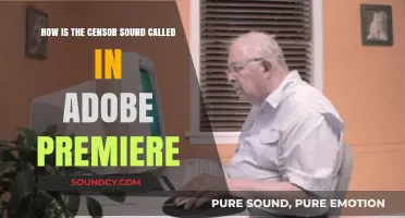 Understanding the Beep Effect in Adobe Premiere: A Censor Sound Guide