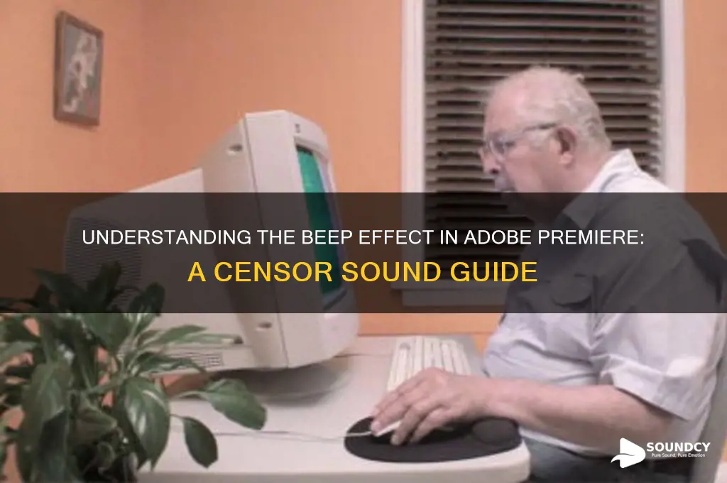 how is the censor sound called in adobe premiere