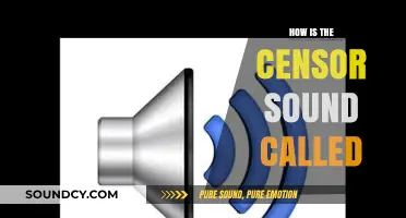Understanding the Name of the Censor Sound in Media and Communication