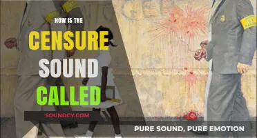 Understanding the Name of the Censure Sound: A Linguistic Exploration