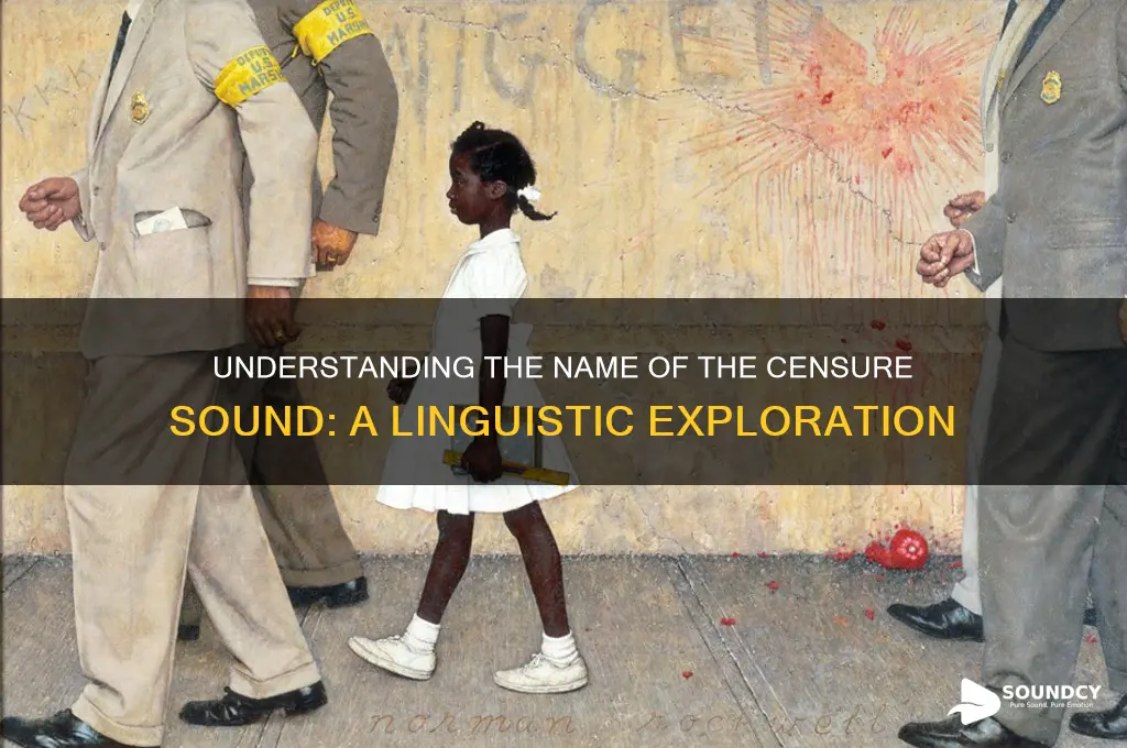 how is the censure sound called