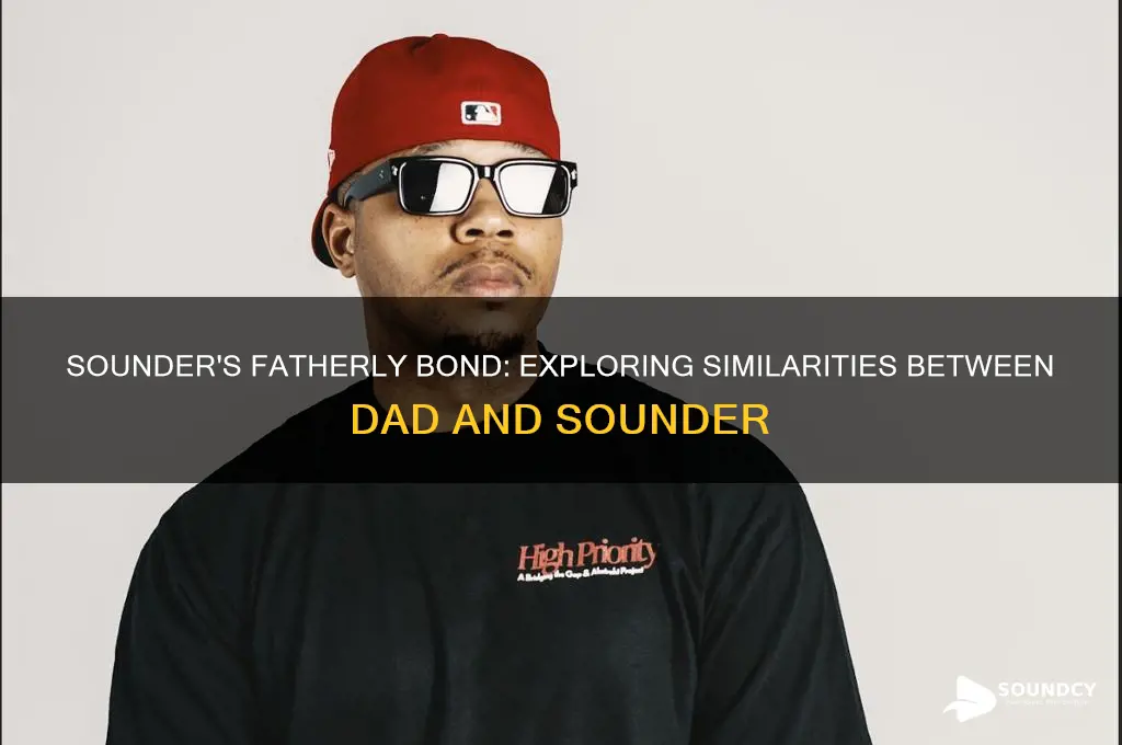 how is the dad and sounder simliar in sounder