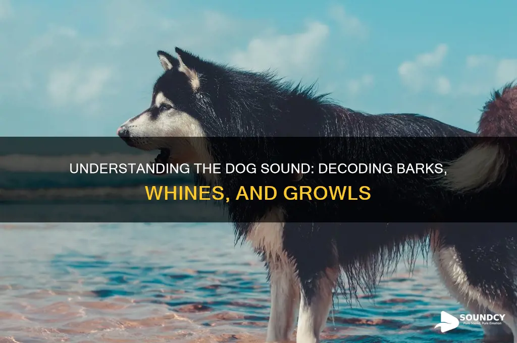 how is the dog sound
