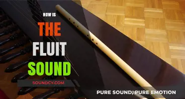 Exploring the Unique Sound of the Flute: A Musical Journey