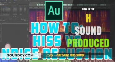 Understanding the H Sound: A Guide to Its Articulation and Production