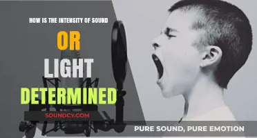 Measuring Sound and Light Intensity: Understanding the Science Behind Perception
