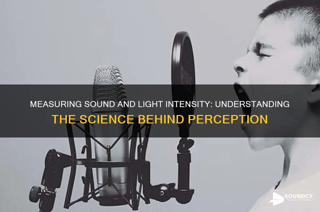 how is the intensity of sound or light determined
