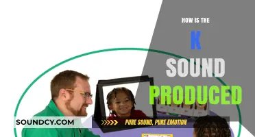 Mastering the K Sound: Articulatory Mechanics and Production Techniques Explained