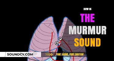 Understanding Heart Murmurs: What Does That Sound Really Mean?