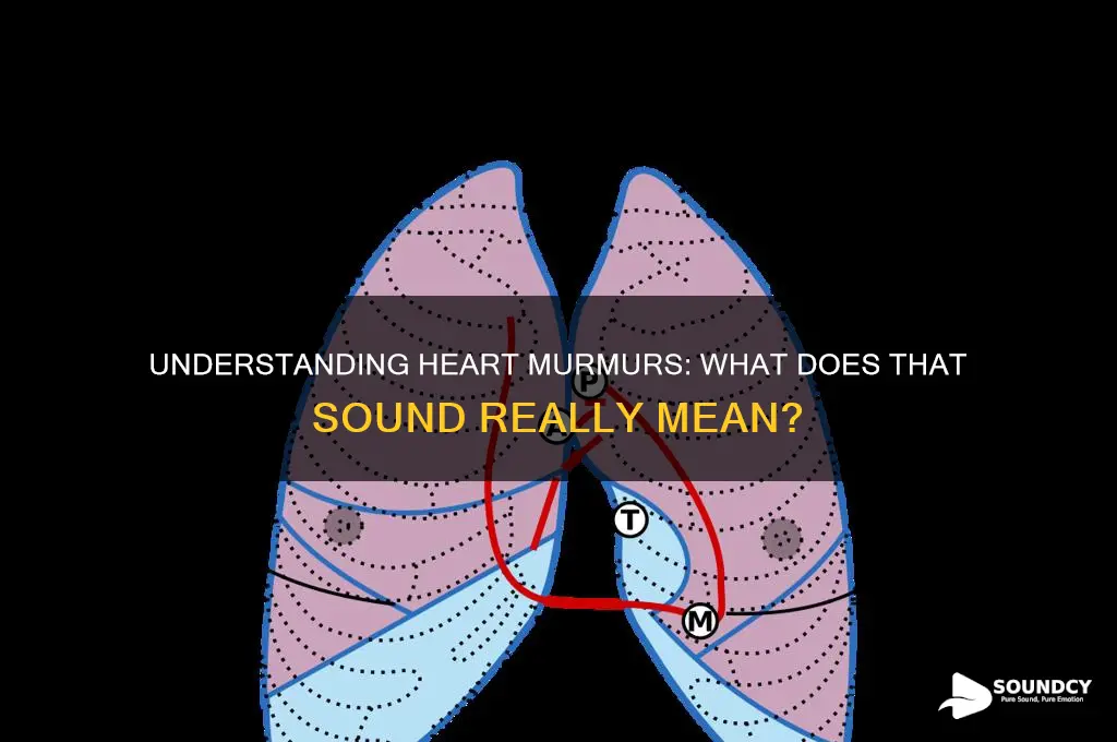 how is the murmur sound