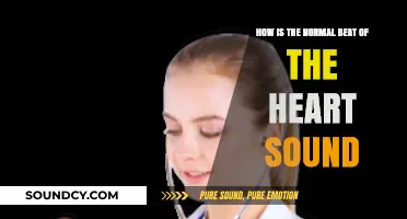 Understanding the Natural Rhythm: What a Healthy Heartbeat Sounds Like