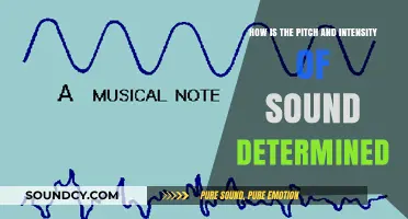 Understanding Sound: Measuring Pitch and Intensity in Acoustics