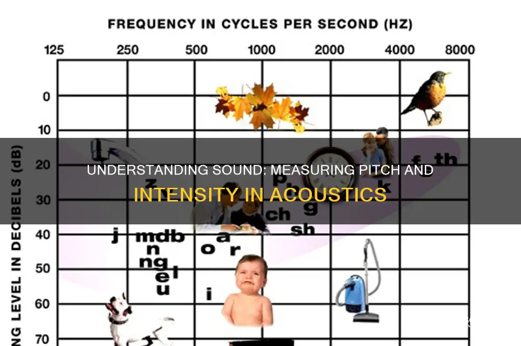 how is the pitch and intensity of sound determined