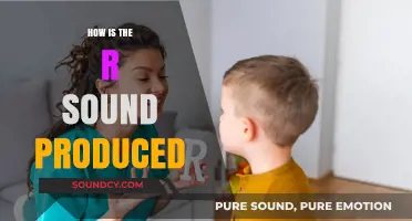 Mastering the R Sound: A Guide to Its Articulation and Production