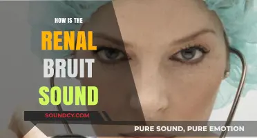 Understanding the Renal Bruit: Characteristics, Causes, and Clinical Significance