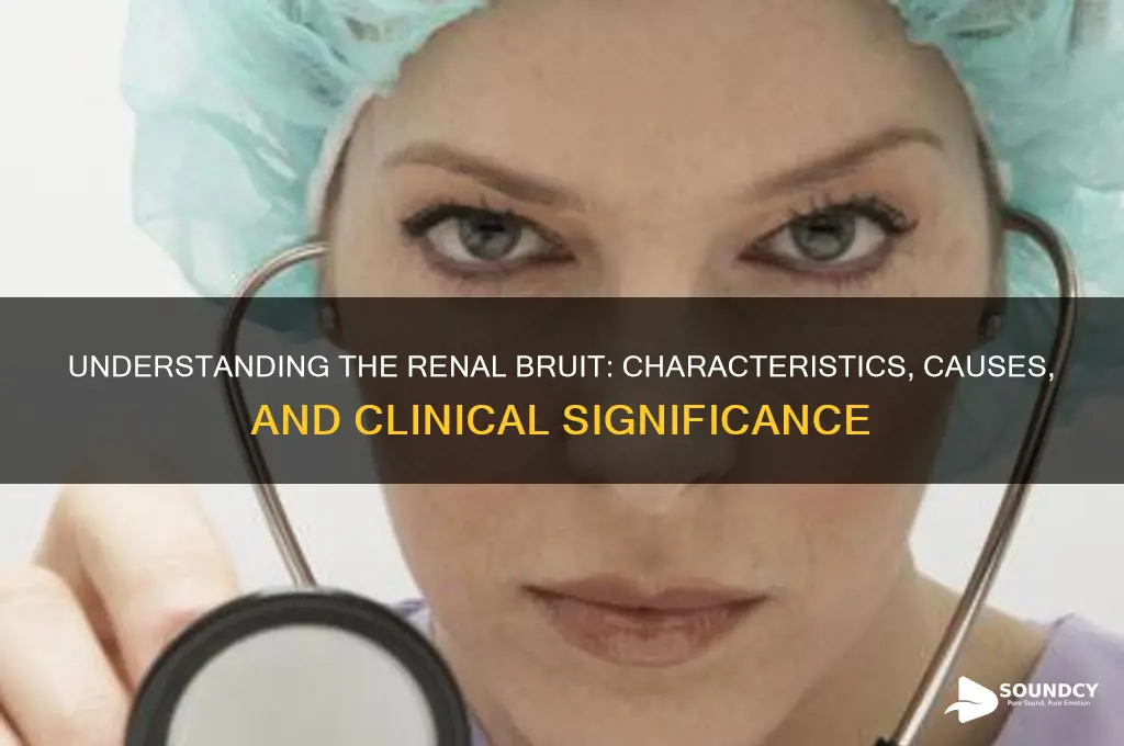 how is the renal bruit sound