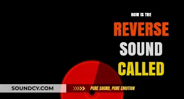 Understanding Reverse Sound: What’s It Called and How Does It Work?