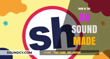 Mastering the 'SH' Sound: A Step-by-Step Articulation Guide