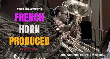 Unveiling the French Horn's Unique Sound Production Process