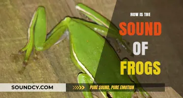 Exploring the Unique and Varied Sounds of Frogs in Nature
