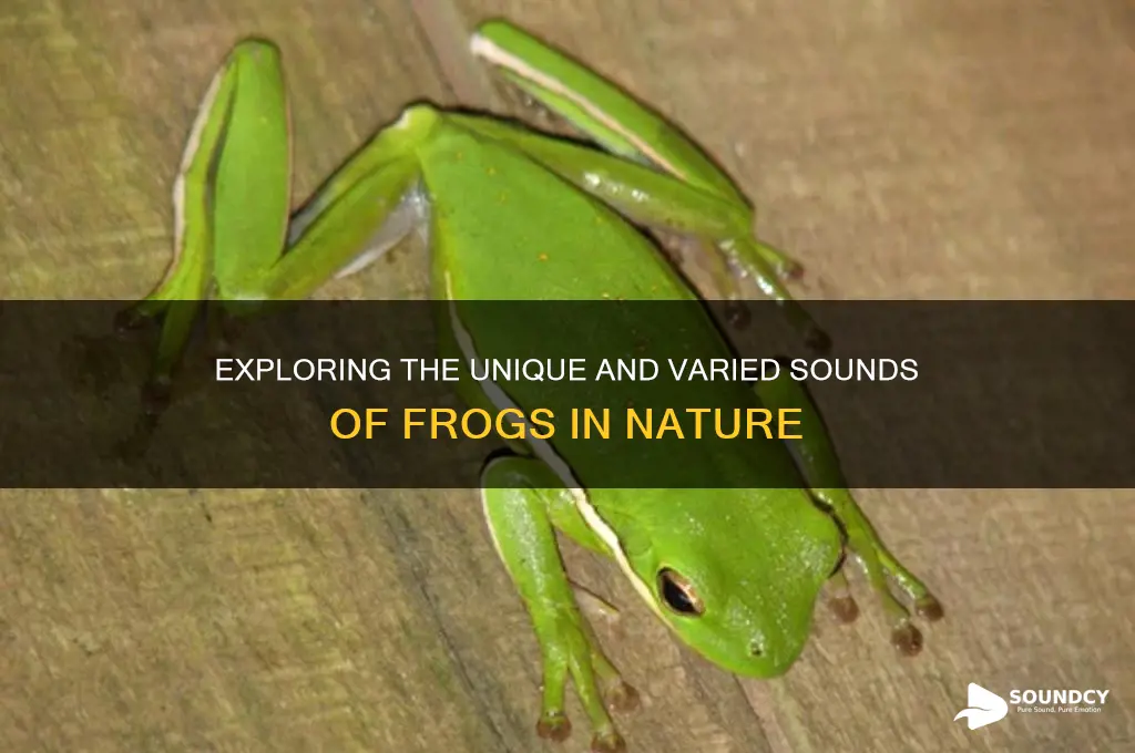 how is the sound of frogs