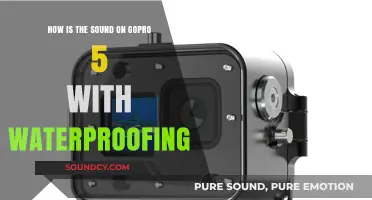 GoPro 5 Waterproof Sound Quality: Clear Audio Underwater?