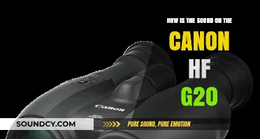 Canon HF G20 Sound Quality: A Comprehensive Review and Analysis