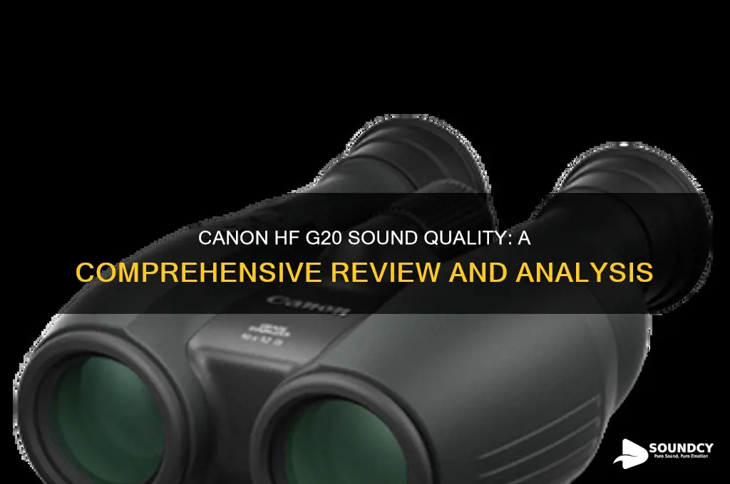 how is the sound on the canon hf g20