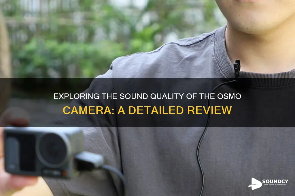 how is the sound osmo camera