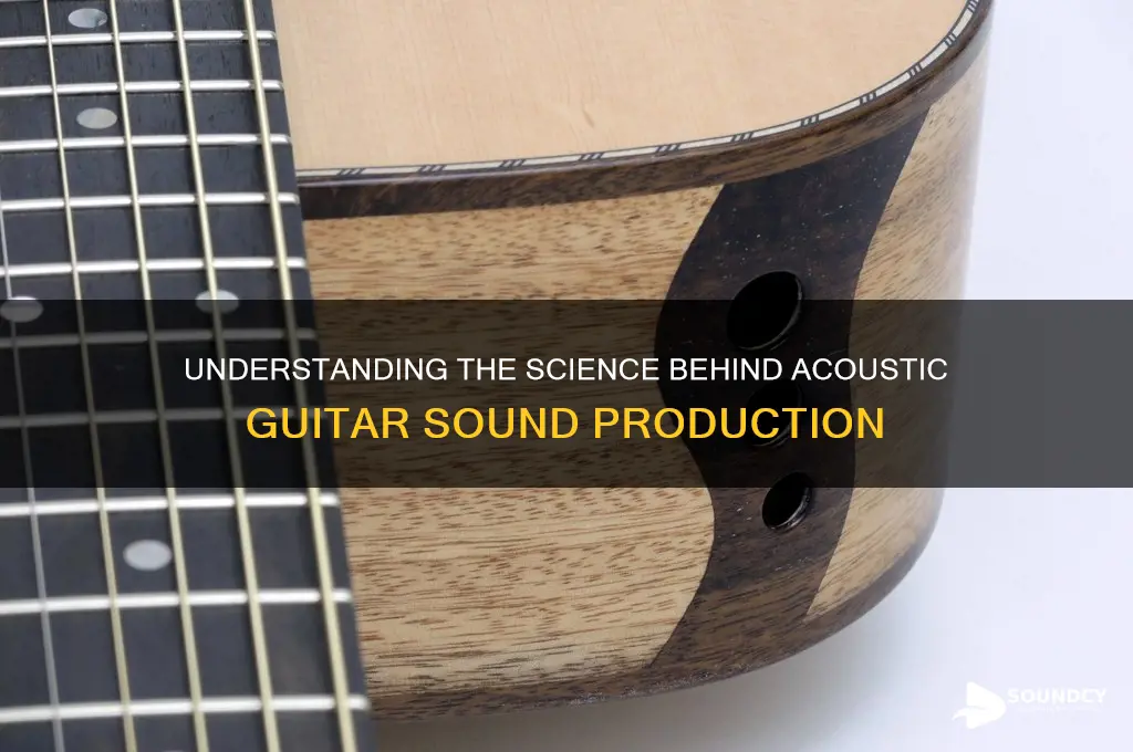 how is the sound produced on a acoustic guitar
