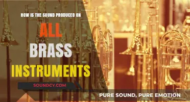 How Brass Instruments Create Sound: A Scientific Exploration