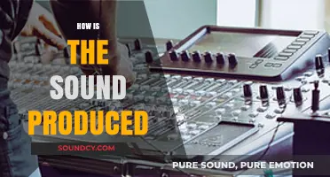 Unveiling the Science: How Sound is Produced and Heard