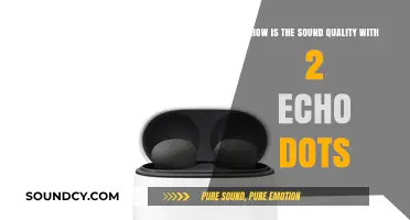 Echo Dot Duo: Sound Quality Review and Performance Analysis