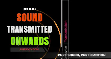 How Sound Waves Travel: The Journey of Transmission Explained