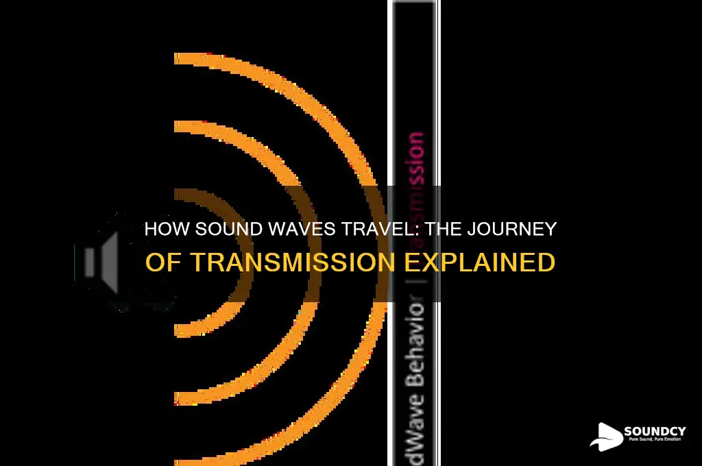 how is the sound transmitted onwards