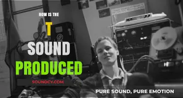 Mastering the T Sound: Articulatory Mechanics and Production Techniques Explained