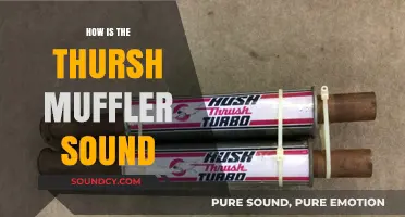 Exploring the Unique Sound of the Thrush Muffler: A Deep Dive