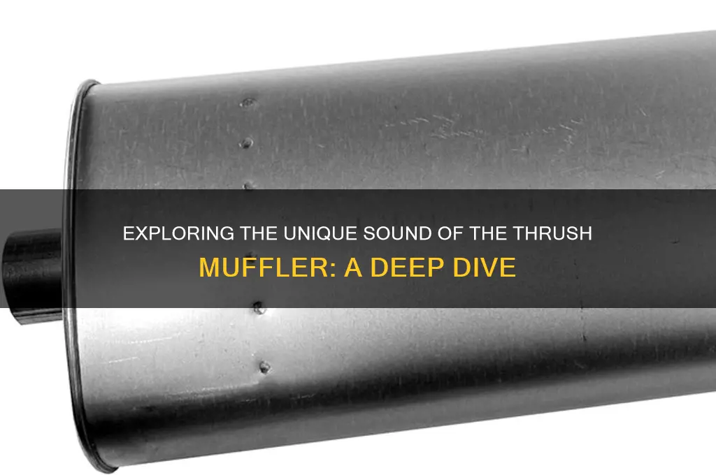 how is the thursh muffler sound