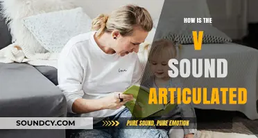 Mastering the V Sound: Articulatory Techniques and Tongue Placement Explained
