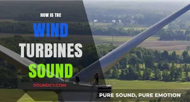Exploring the Unique Sounds of Wind Turbines: What to Expect